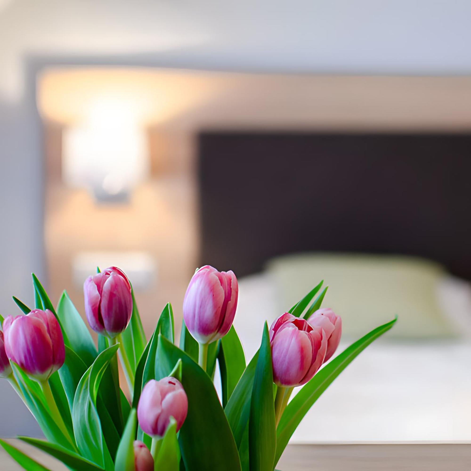 Appartements 'In Vino Veritas' Haslach im Kinzigtal Kültér fotó