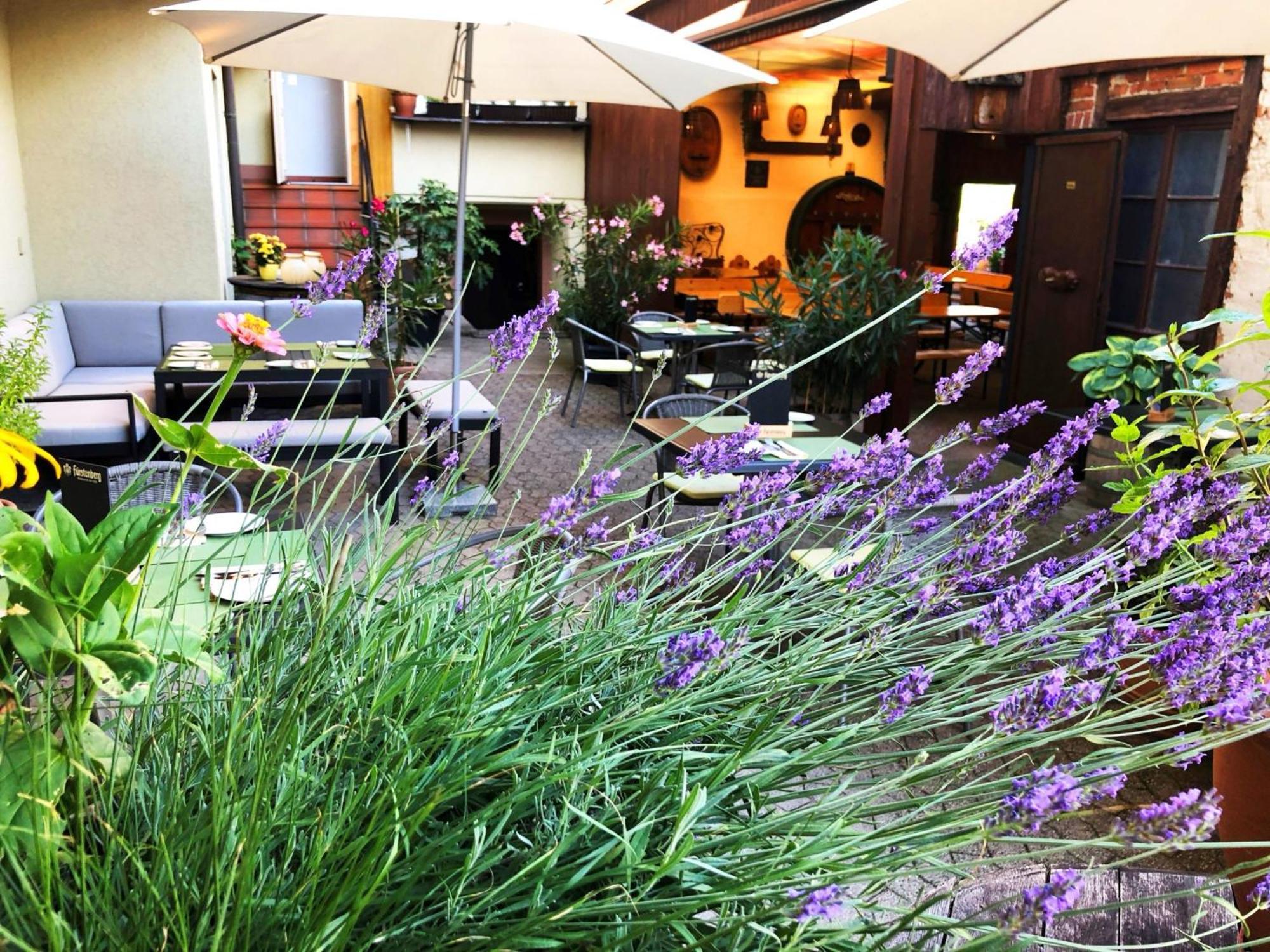 Appartements 'In Vino Veritas' Haslach im Kinzigtal Kültér fotó