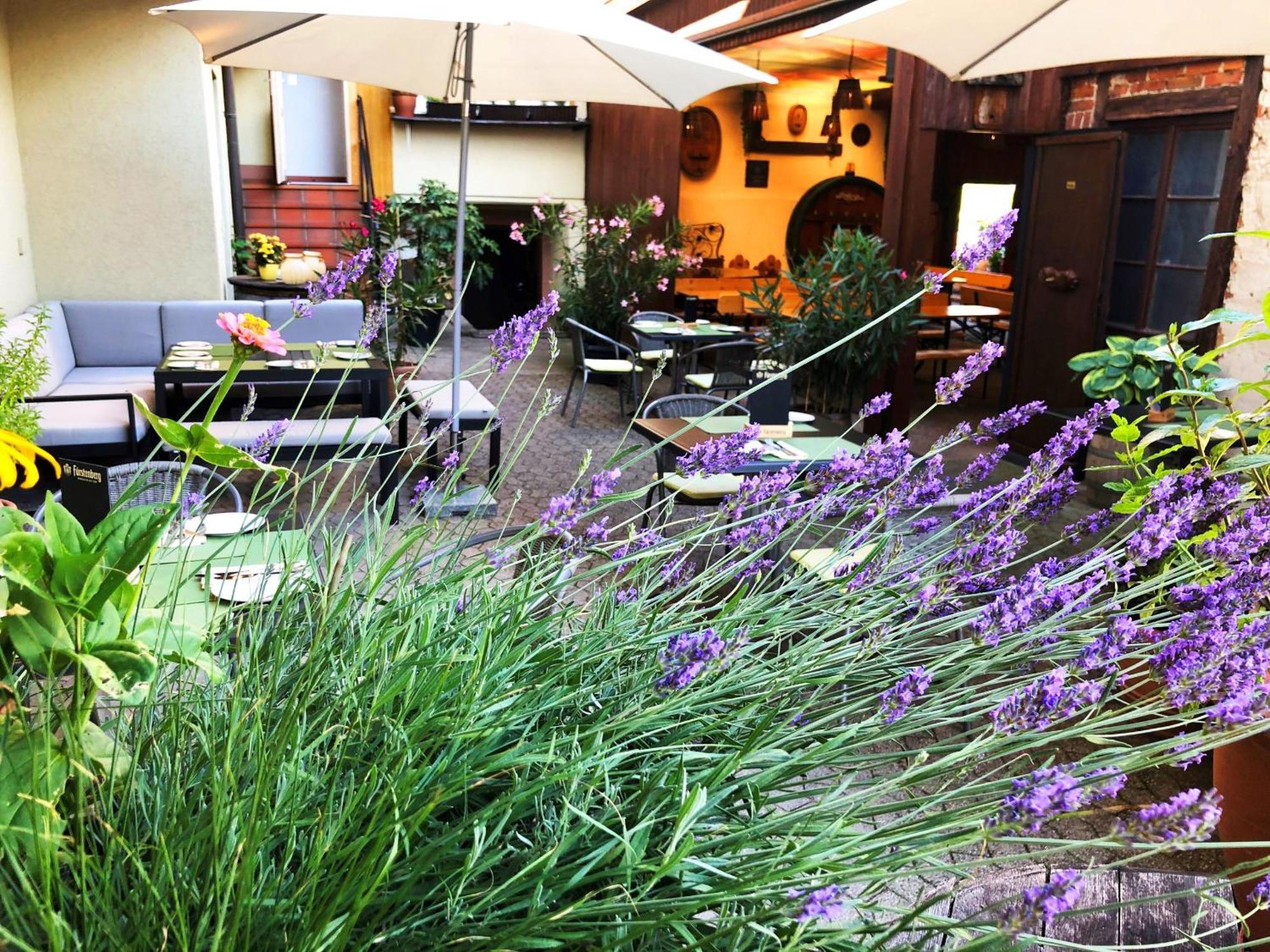 Appartements 'In Vino Veritas' Haslach im Kinzigtal Kültér fotó